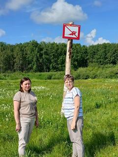 Лето под контролем